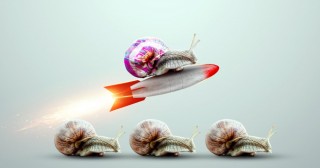 snails showing competitive advantage